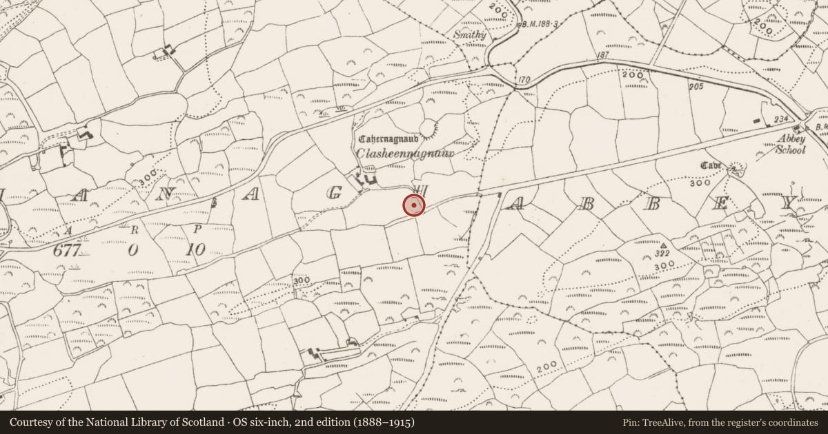 Ordnance Survey six-inch map, 2nd edition (1888–1915) covering the location of Ritual site - holy well, Mohanagh, County Cork, with a pin at the register's coordinates