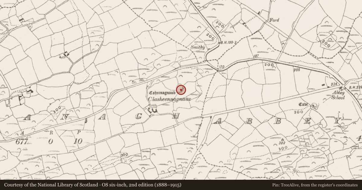 Ordnance Survey six-inch map, 2nd edition (1888–1915) covering the location of Ringfort - rath, Mohanagh, County Cork, with a pin at the register's coordinates