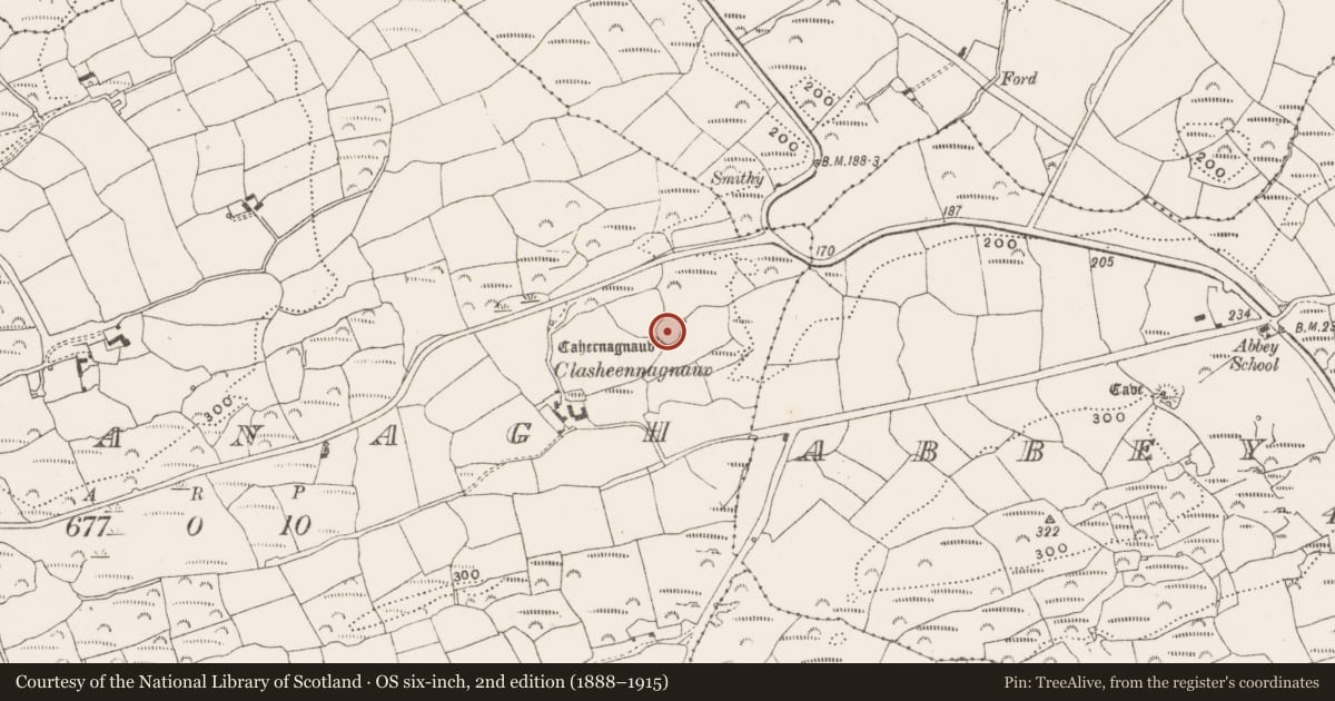 Ordnance Survey six-inch map, 2nd edition (1888–1915) covering the location of Souterrain, Mohanagh, County Cork, with a pin at the register's coordinates