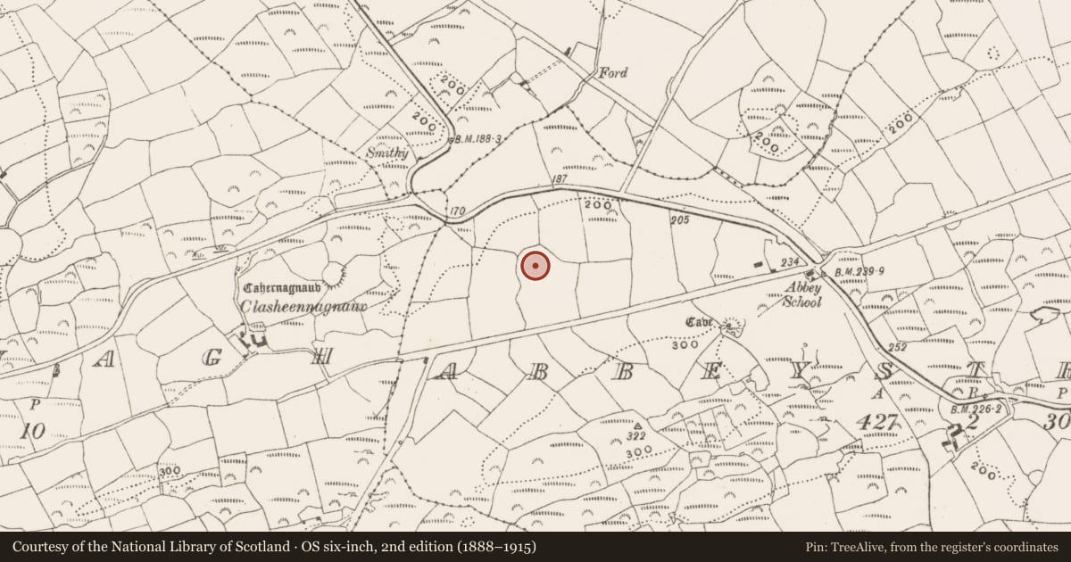Ordnance Survey six-inch map, 2nd edition (1888–1915) covering the location of Fulacht fia, Abbeystrowry, County Cork, with a pin at the register's coordinates