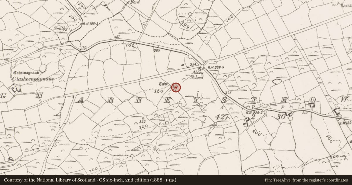 Ordnance Survey six-inch map, 2nd edition (1888–1915) covering the location of Ringfort - rath, Abbeystrowry, County Cork, with a pin at the register's coordinates