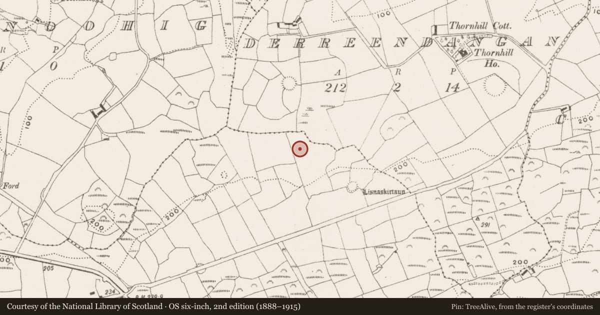 Ordnance Survey six-inch map, 2nd edition (1888–1915) covering the location of Standing stone, Abbeystrowry, County Cork, with a pin at the register's coordinates