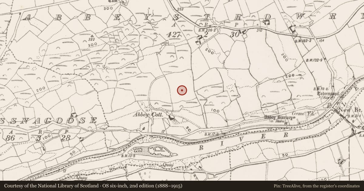 Ordnance Survey six-inch map, 2nd edition (1888–1915) covering the location of Earthwork, Abbeystrowry, County Cork, with a pin at the register's coordinates
