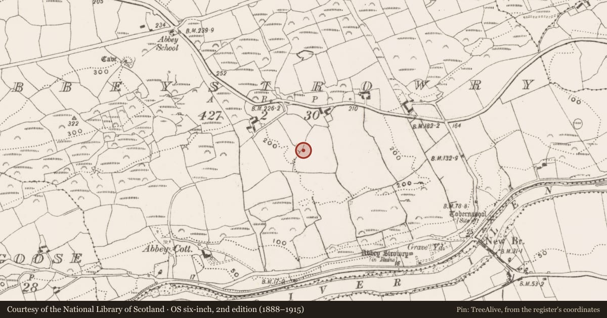 Ordnance Survey six-inch map, 2nd edition (1888–1915) covering the location of Ringfort - rath, Abbeystrowry, County Cork, with a pin at the register's coordinates
