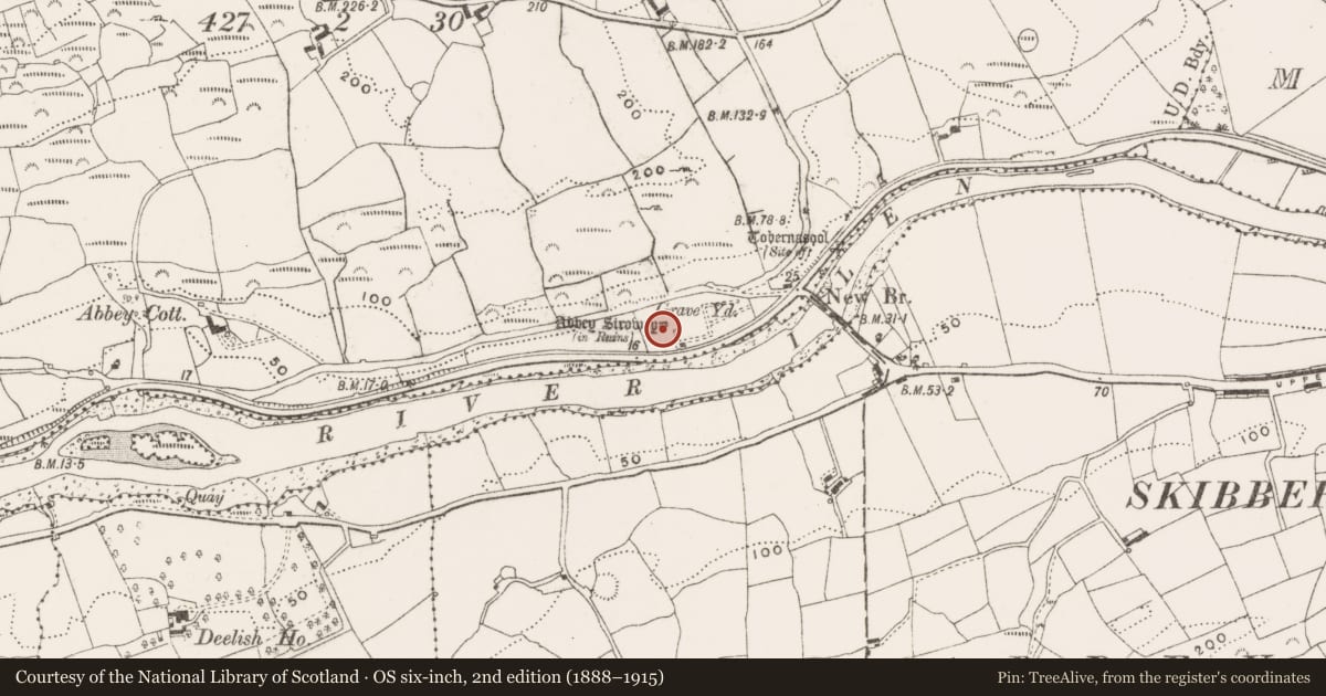 Ordnance Survey six-inch map, 2nd edition (1888–1915) covering the location of Graveyard, Abbeystrowry, County Cork, with a pin at the register's coordinates
