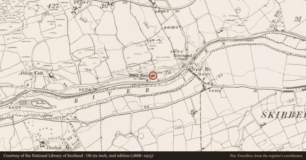 Ordnance Survey six-inch map, 2nd edition (1888–1915) covering the location of Church, Abbeystrowry, County Cork, with a pin at the register's coordinates