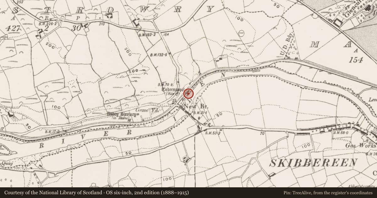 Ordnance Survey six-inch map, 2nd edition (1888–1915) covering the location of Ritual site - holy well, Abbeystrowry, County Cork, with a pin at the register's coordinates