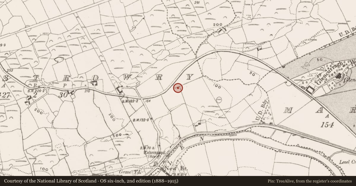 Ordnance Survey six-inch map, 2nd edition (1888–1915) covering the location of Ringfort - rath, Abbeystrowry, County Cork, with a pin at the register's coordinates