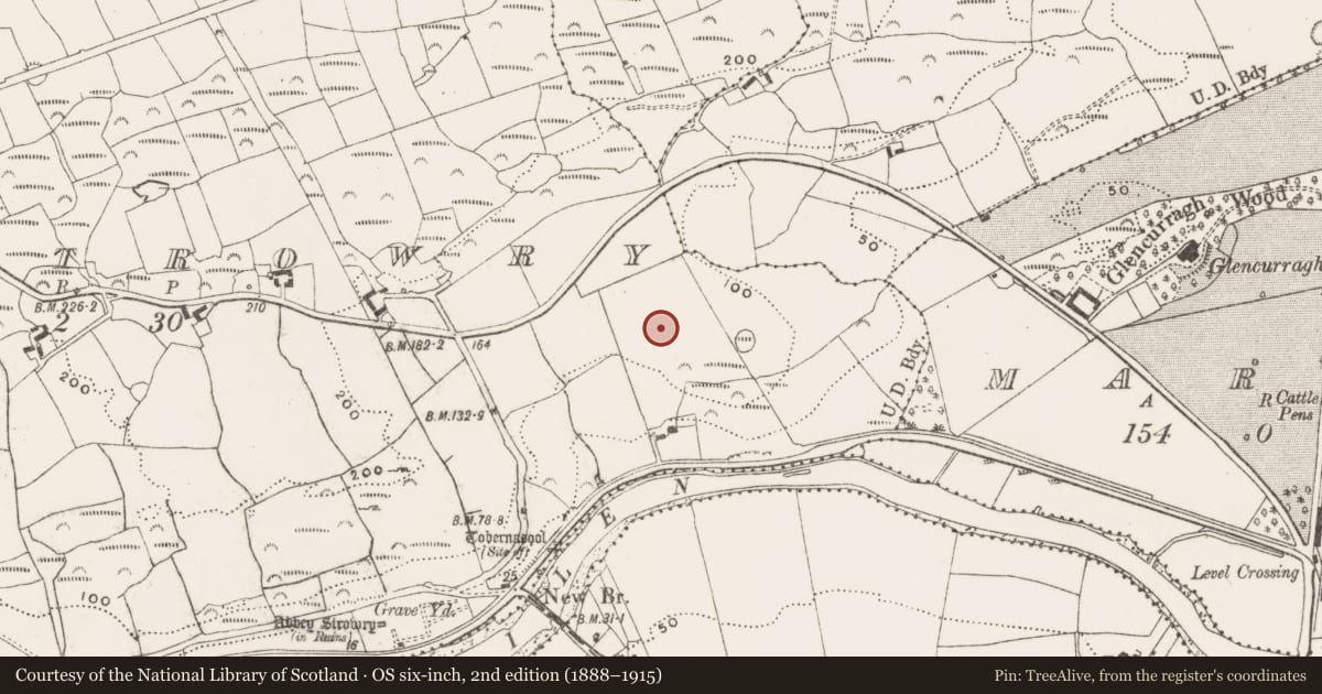 Ordnance Survey six-inch map, 2nd edition (1888–1915) covering the location of Standing stone, Abbeystrowry, County Cork, with a pin at the register's coordinates