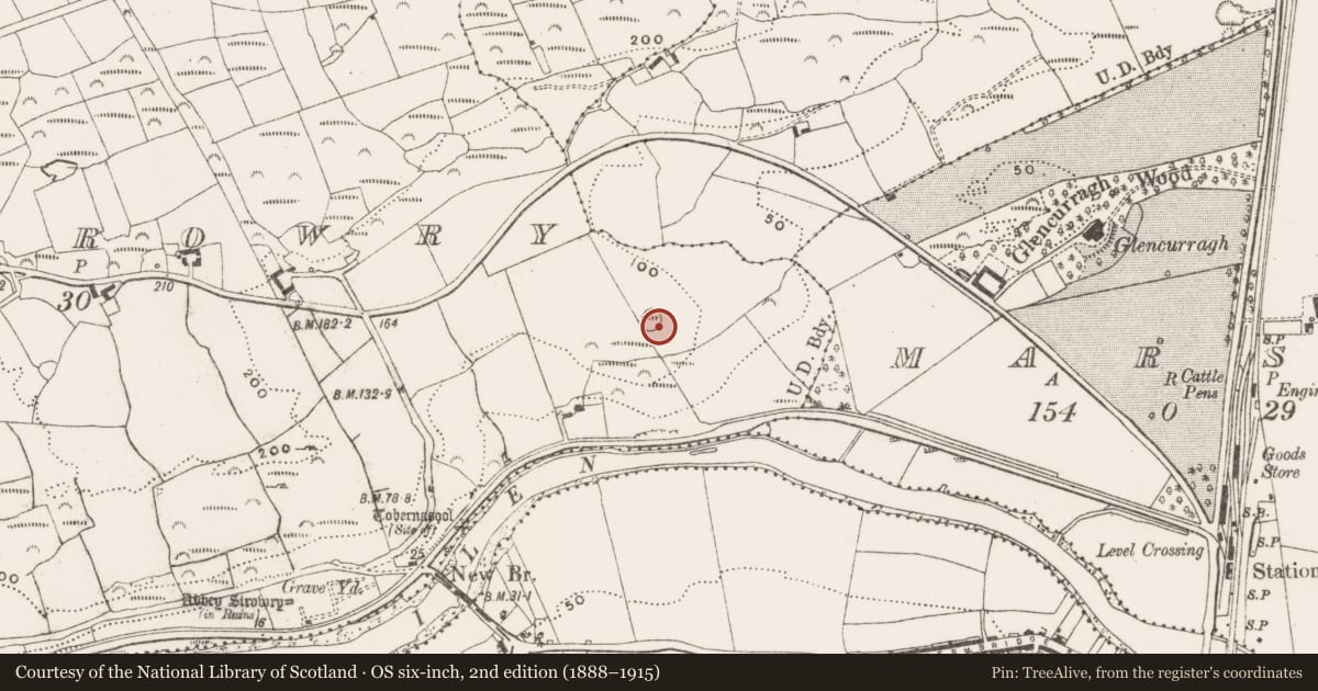 Ordnance Survey six-inch map, 2nd edition (1888–1915) covering the location of Ringfort - rath, Abbeystrowry, County Cork, with a pin at the register's coordinates