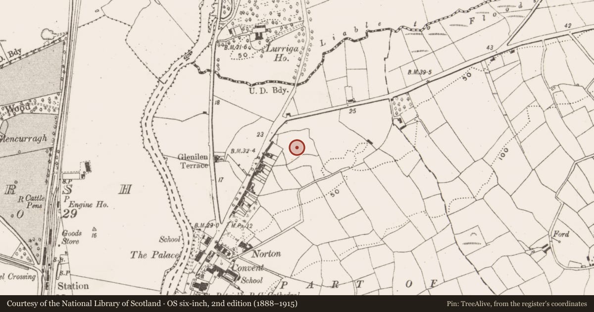 Ordnance Survey six-inch map, 2nd edition (1888–1915) covering the location of Souterrain, Gortnaclohy, County Cork, with a pin at the register's coordinates