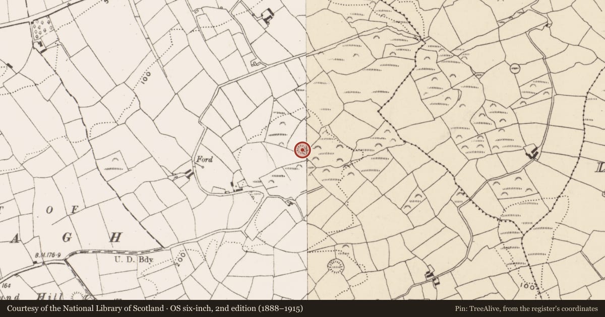 Ordnance Survey six-inch map, 2nd edition (1888–1915) covering the location of Ringfort - rath, Gortnaclohy, County Cork, with a pin at the register's coordinates