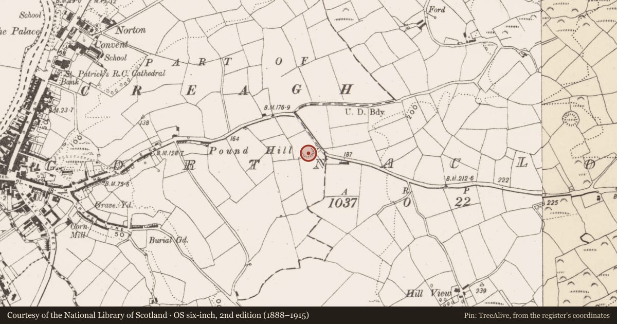 Ordnance Survey six-inch map, 2nd edition (1888–1915) covering the location of Ringfort - rath, Gortnaclohy, County Cork, with a pin at the register's coordinates