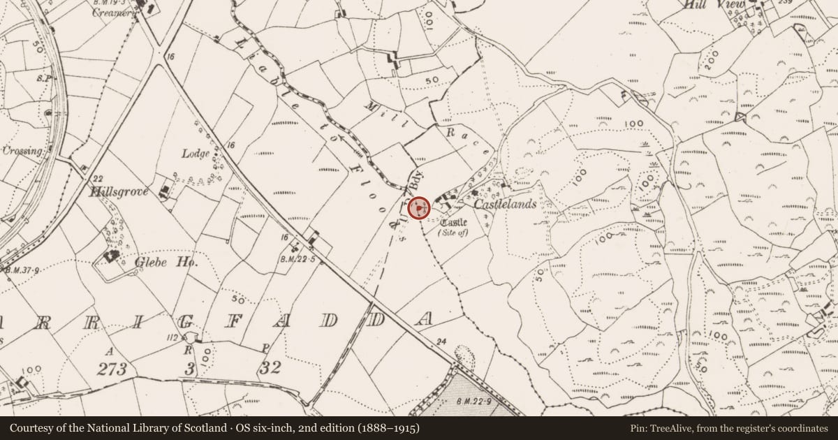 Ordnance Survey six-inch map, 2nd edition (1888–1915) covering the location of Castle - unclassified, Gortnaclohy, County Cork, with a pin at the register's coordinates
