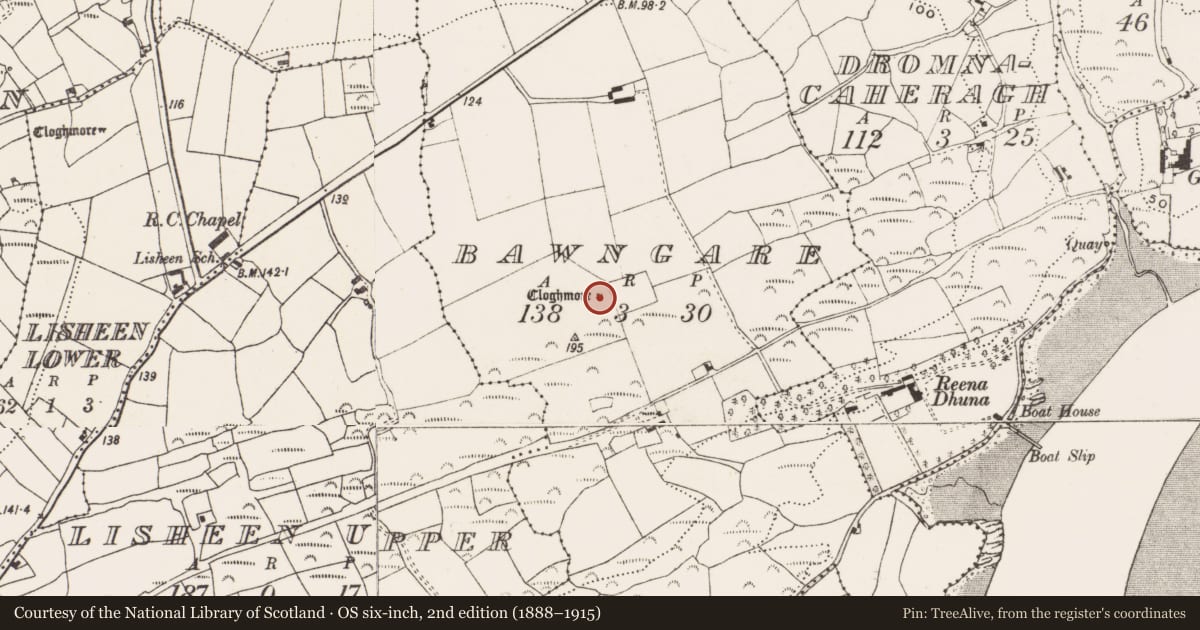 Ordnance Survey six-inch map, 2nd edition (1888–1915) covering the location of Boulder-burial, Bawngare, County Cork, with a pin at the register's coordinates