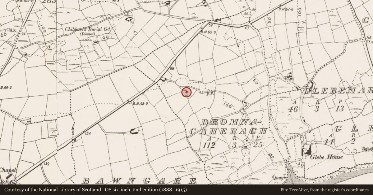 Ordnance Survey six-inch map, 2nd edition (1888–1915) covering the location of Ringfort - rath, Dromnacaheragh, County Cork, with a pin at the register's coordinates