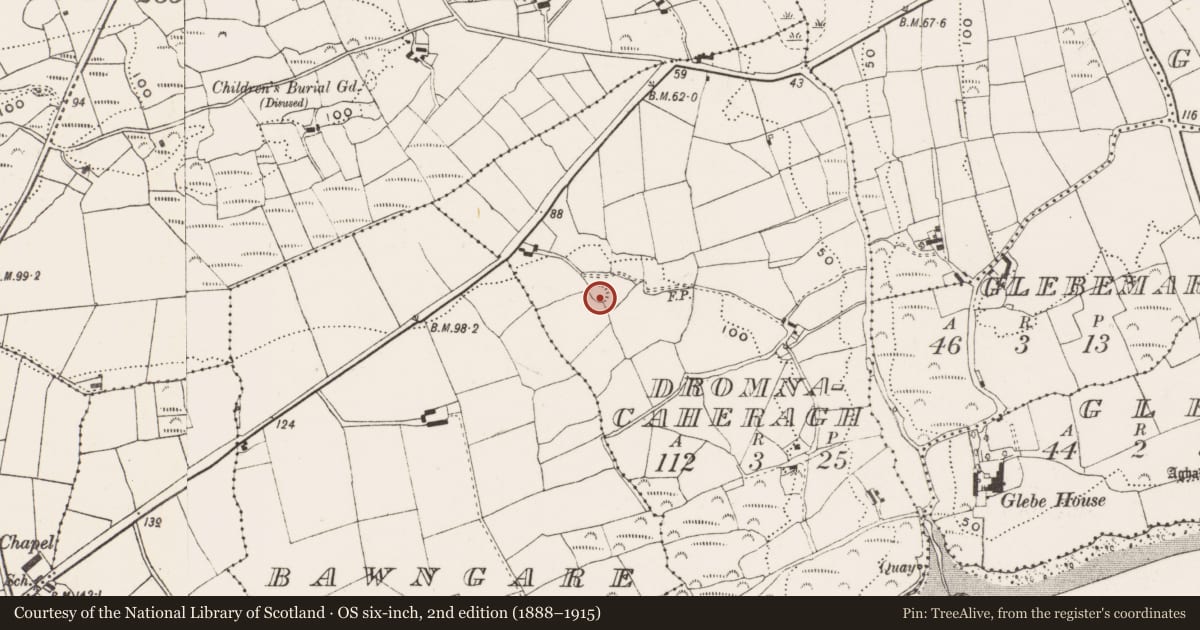 Ordnance Survey six-inch map, 2nd edition (1888–1915) covering the location of Souterrain, Dromnacaheragh, County Cork, with a pin at the register's coordinates