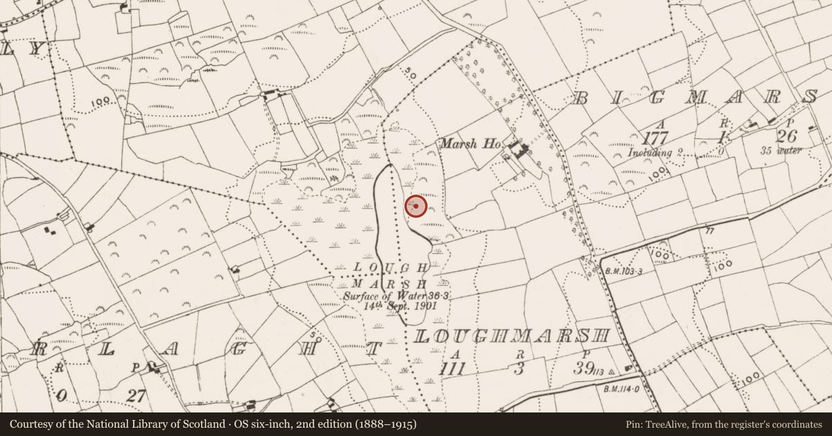 Ordnance Survey six-inch map, 2nd edition (1888–1915) covering the location of Souterrain, Loughmarsh, County Cork, with a pin at the register's coordinates