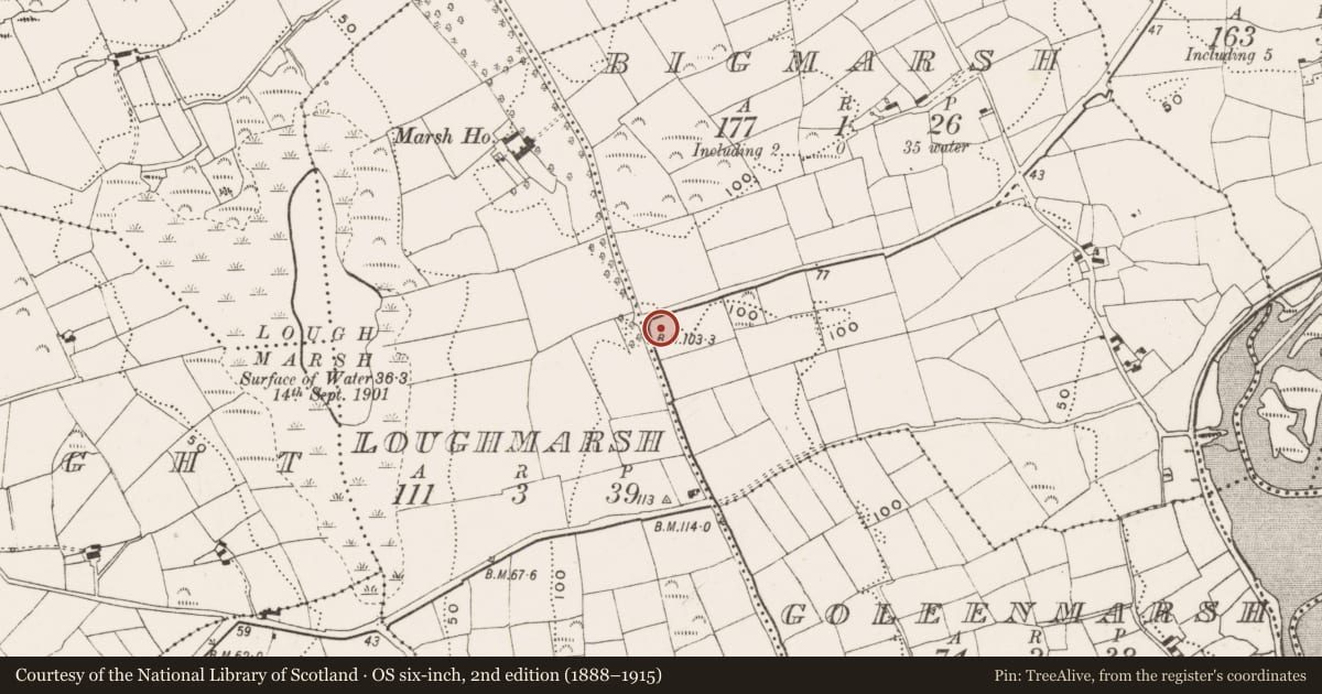 Ordnance Survey six-inch map, 2nd edition (1888–1915) covering the location of Souterrain, Bigmarsh, County Cork, with a pin at the register's coordinates
