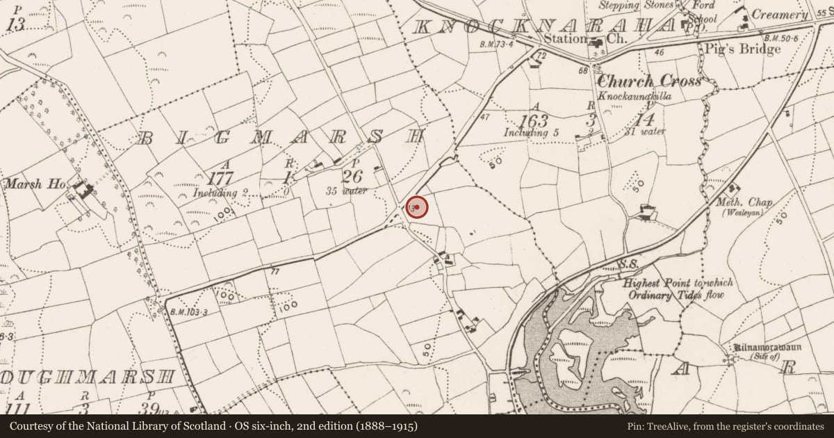 Ordnance Survey six-inch map, 2nd edition (1888–1915) covering the location of Souterrain, Bigmarsh, County Cork, with a pin at the register's coordinates