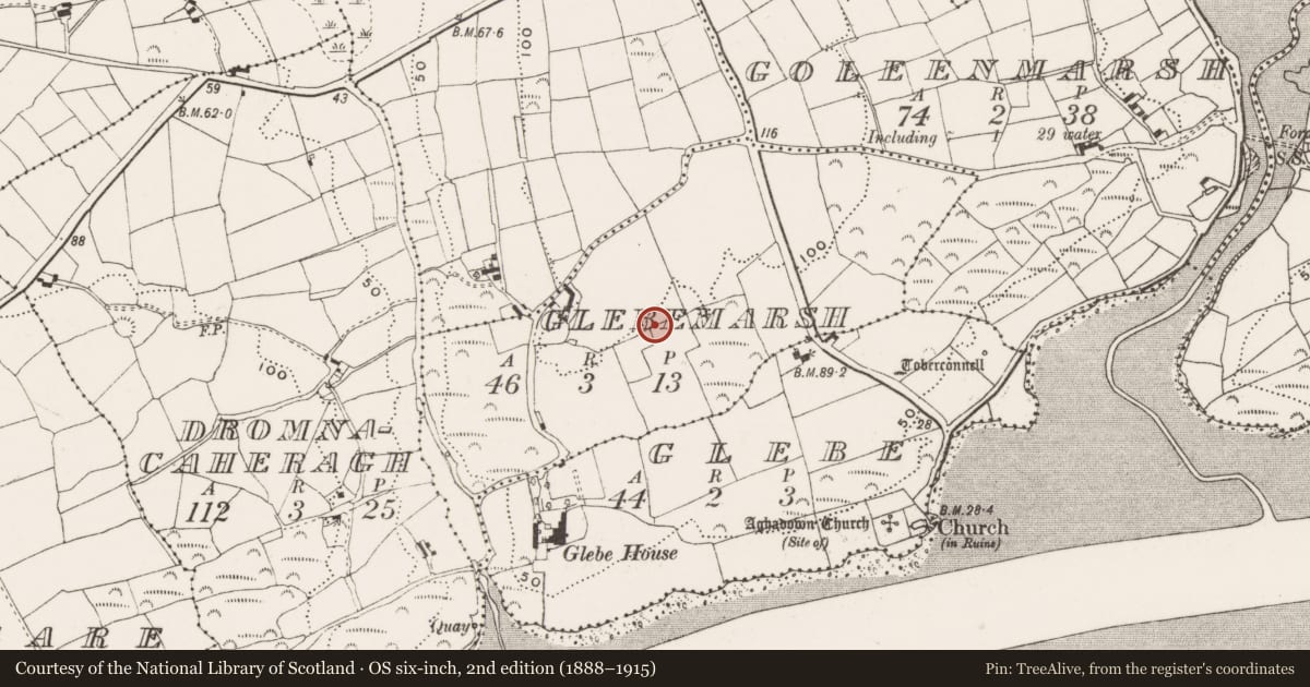 Ordnance Survey six-inch map, 2nd edition (1888–1915) covering the location of Bee-boles, Glebe Marsh, County Cork, with a pin at the register's coordinates