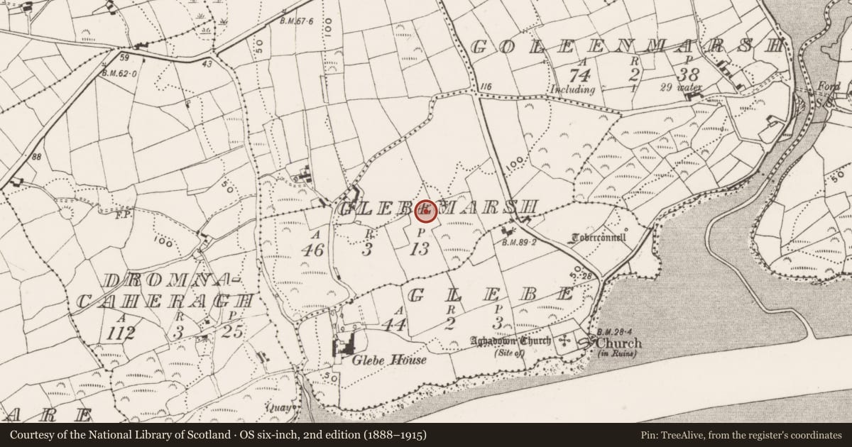 Ordnance Survey six-inch map, 2nd edition (1888–1915) covering the location of Fulacht fia, Glebe Marsh, County Cork, with a pin at the register's coordinates