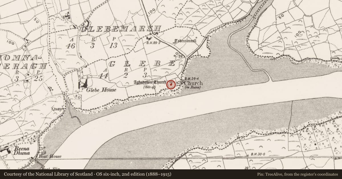 Ordnance Survey six-inch map, 2nd edition (1888–1915) covering the location of Graveyard, Glebe, County Cork, with a pin at the register's coordinates