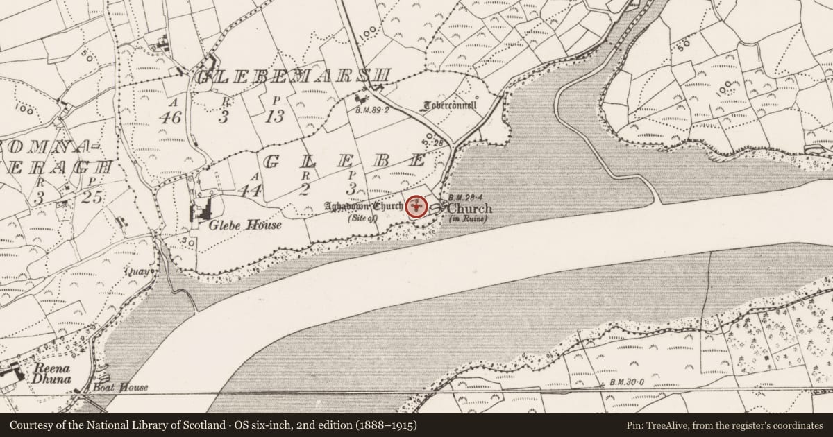 Ordnance Survey six-inch map, 2nd edition (1888–1915) covering the location of Church, Glebe, County Cork, with a pin at the register's coordinates