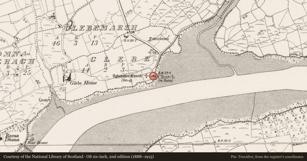 Ordnance Survey six-inch map, 2nd edition (1888–1915) covering the location of Church, Glebe, County Cork, with a pin at the register's coordinates