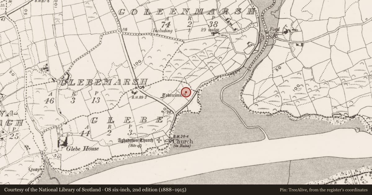 Ordnance Survey six-inch map, 2nd edition (1888–1915) covering the location of Ritual site - holy well, Glebe, County Cork, with a pin at the register's coordinates