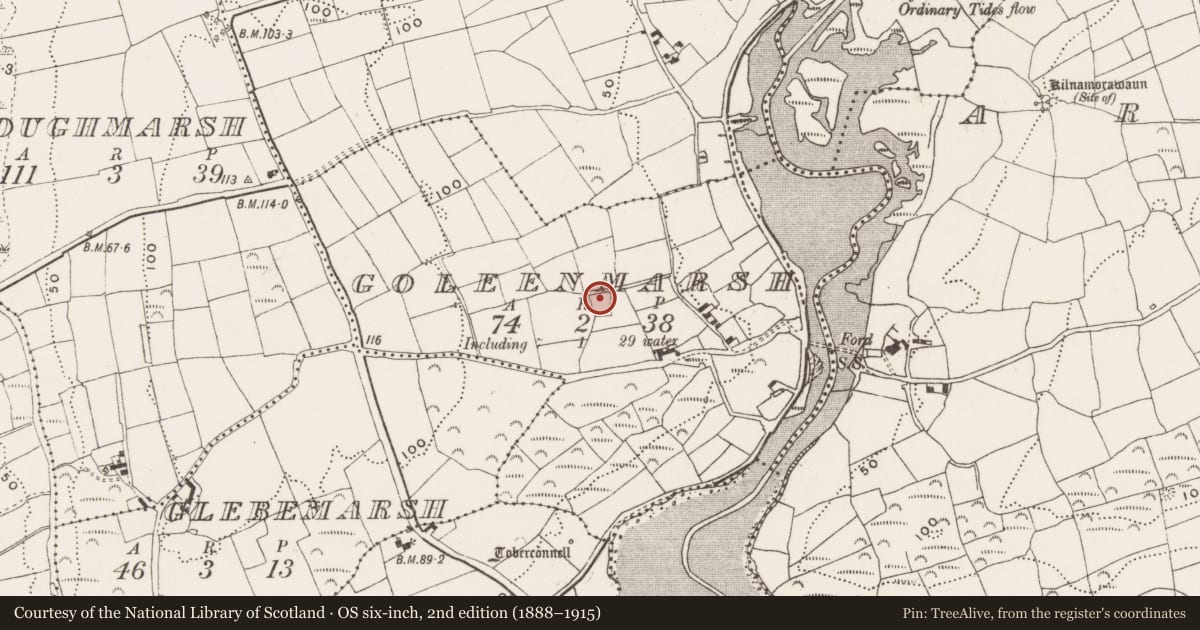 Ordnance Survey six-inch map, 2nd edition (1888–1915) covering the location of Ringfort - rath, Goleen Marsh, County Cork, with a pin at the register's coordinates