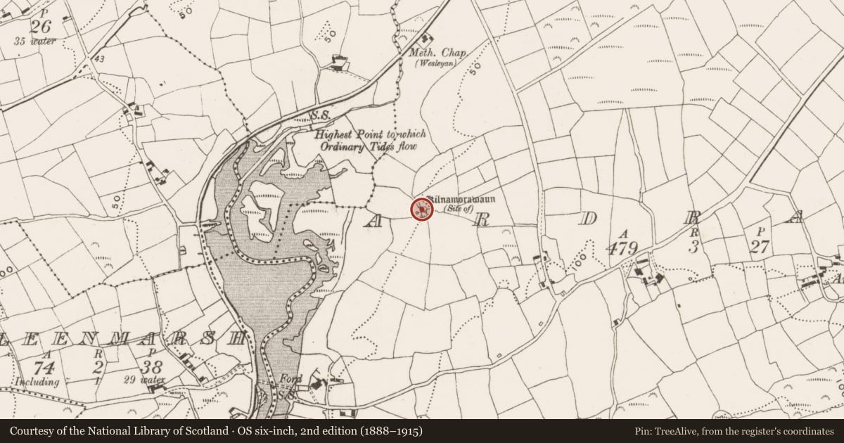 Ordnance Survey six-inch map, 2nd edition (1888–1915) covering the location of Church, Ardraly, County Cork, with a pin at the register's coordinates