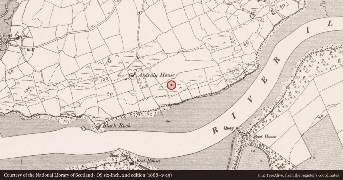 Ordnance Survey six-inch map, 2nd edition (1888–1915) covering the location of Souterrain, Ardraly, County Cork, with a pin at the register's coordinates