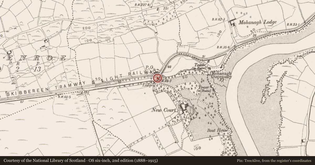 Ordnance Survey six-inch map, 2nd edition (1888–1915) covering the location of Bridge, Reenmurragha, County Cork, with a pin at the register's coordinates