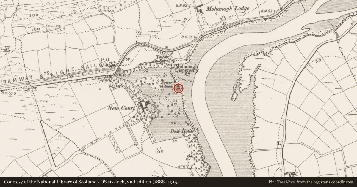 Ordnance Survey six-inch map, 2nd edition (1888–1915) covering the location of Kiln - lime, Reenmurragha, County Cork, with a pin at the register's coordinates