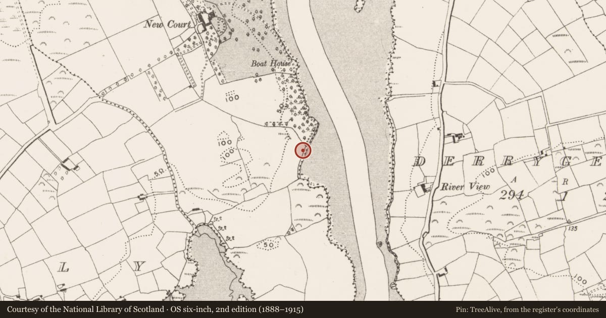 Ordnance Survey six-inch map, 2nd edition (1888–1915) covering the location of Designed landscape - belvedere, Reenmurragha, County Cork, with a pin at the register's coordinates