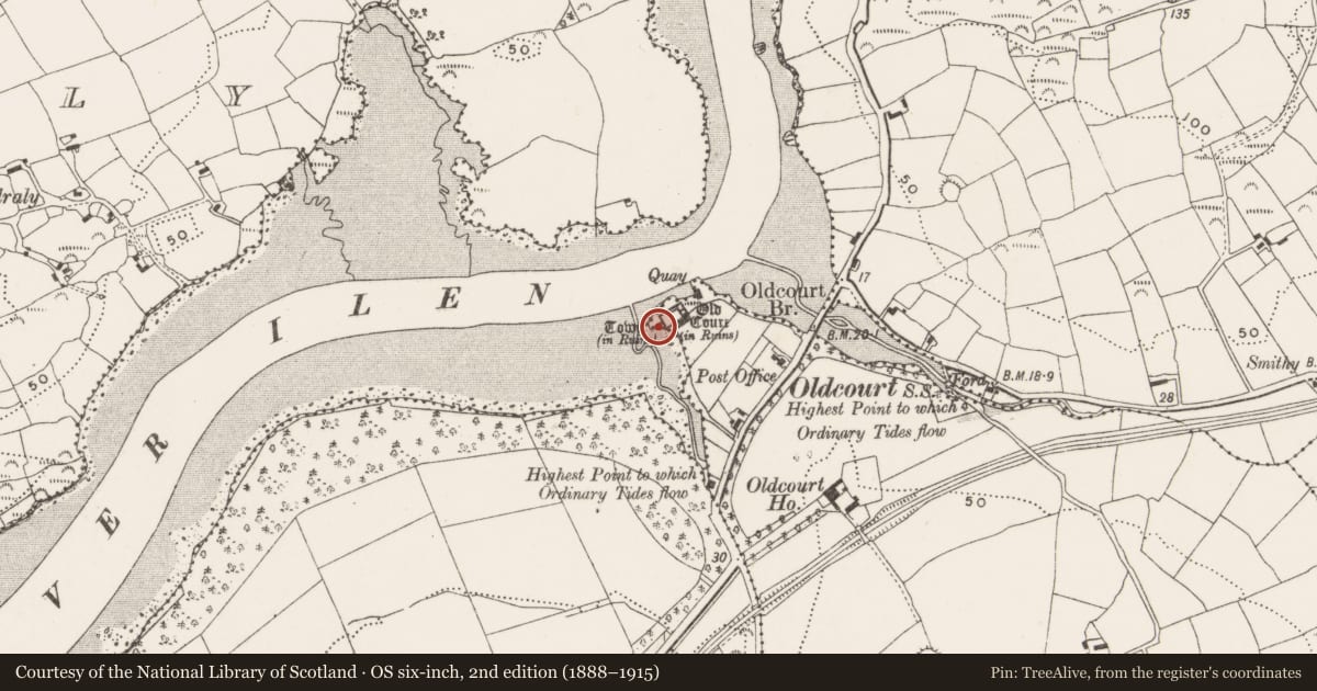 Ordnance Survey six-inch map, 2nd edition (1888–1915) covering the location of Castle - tower house, Oldcourt, County Cork, with a pin at the register's coordinates