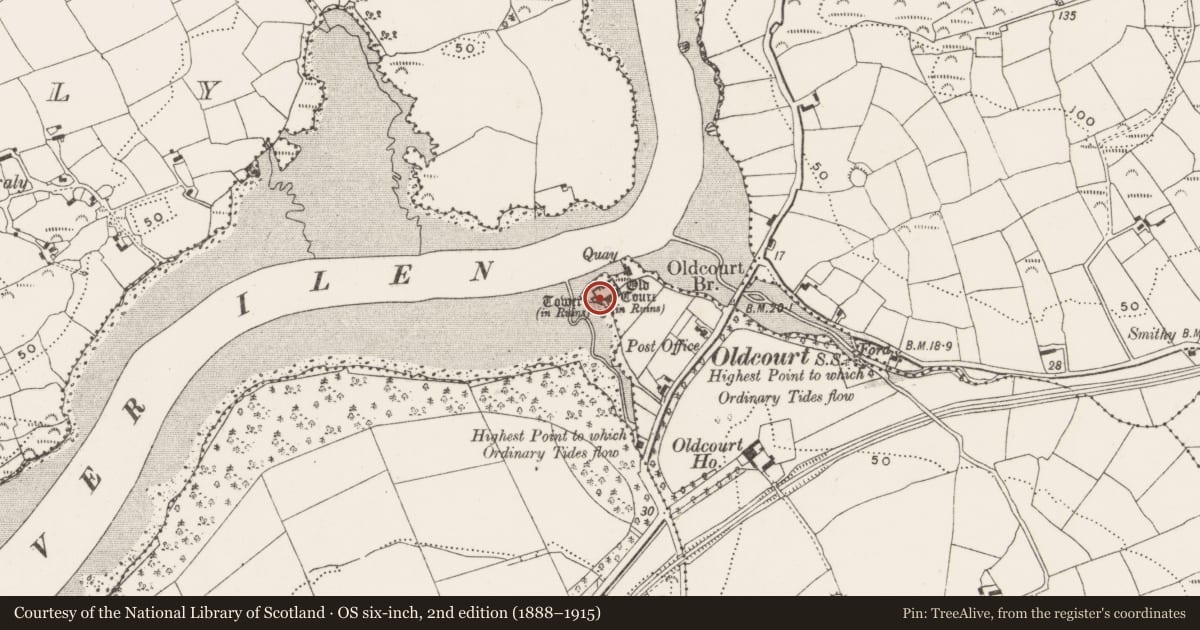 Ordnance Survey six-inch map, 2nd edition (1888–1915) covering the location of Bawn, Oldcourt, County Cork, with a pin at the register's coordinates