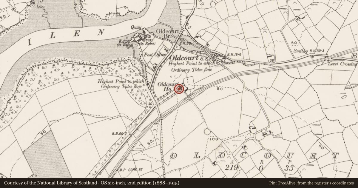 Ordnance Survey six-inch map, 2nd edition (1888–1915) covering the location of Country house, Oldcourt, County Cork, with a pin at the register's coordinates