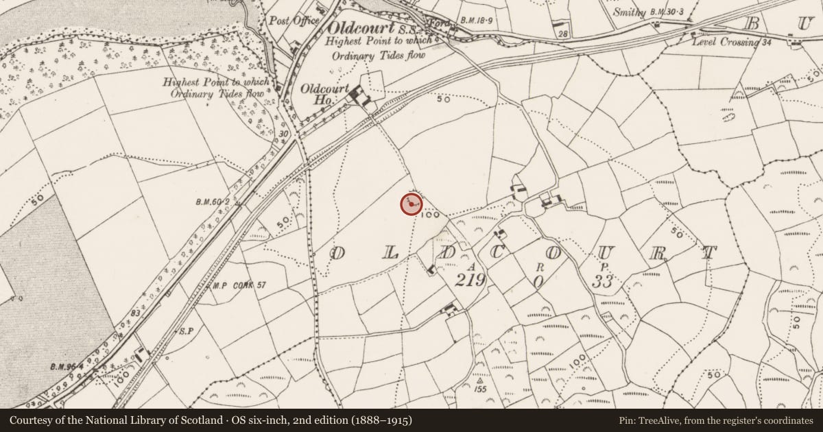Ordnance Survey six-inch map, 2nd edition (1888–1915) covering the location of Ringfort - rath, Oldcourt, County Cork, with a pin at the register's coordinates