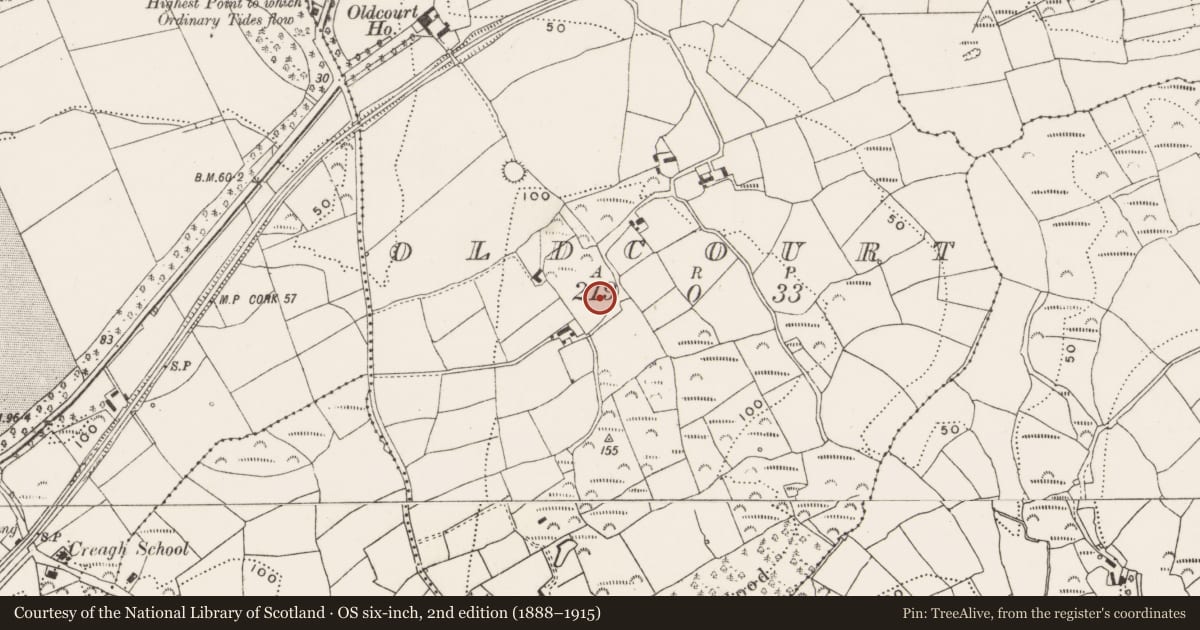 Ordnance Survey six-inch map, 2nd edition (1888–1915) covering the location of Boulder-burial, Oldcourt, County Cork, with a pin at the register's coordinates