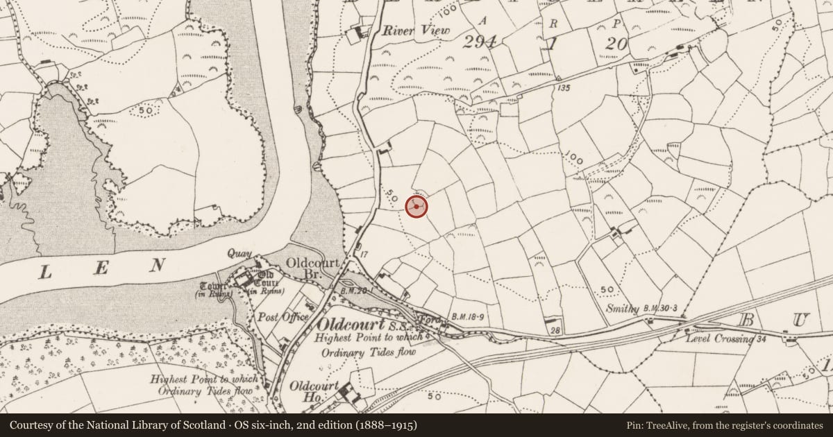 Ordnance Survey six-inch map, 2nd edition (1888–1915) covering the location of Ringfort - rath, Derrygereen, County Cork, with a pin at the register's coordinates