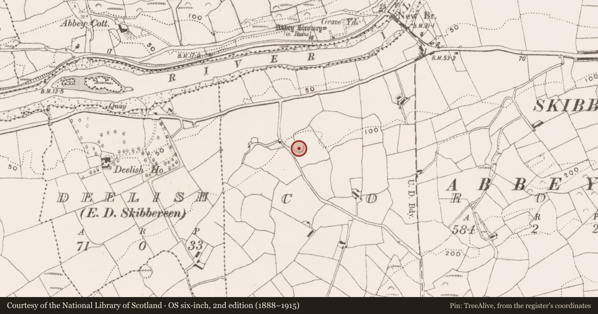 Ordnance Survey six-inch map, 2nd edition (1888–1915) covering the location of Ringfort - rath, Coronea, County Cork, with a pin at the register's coordinates