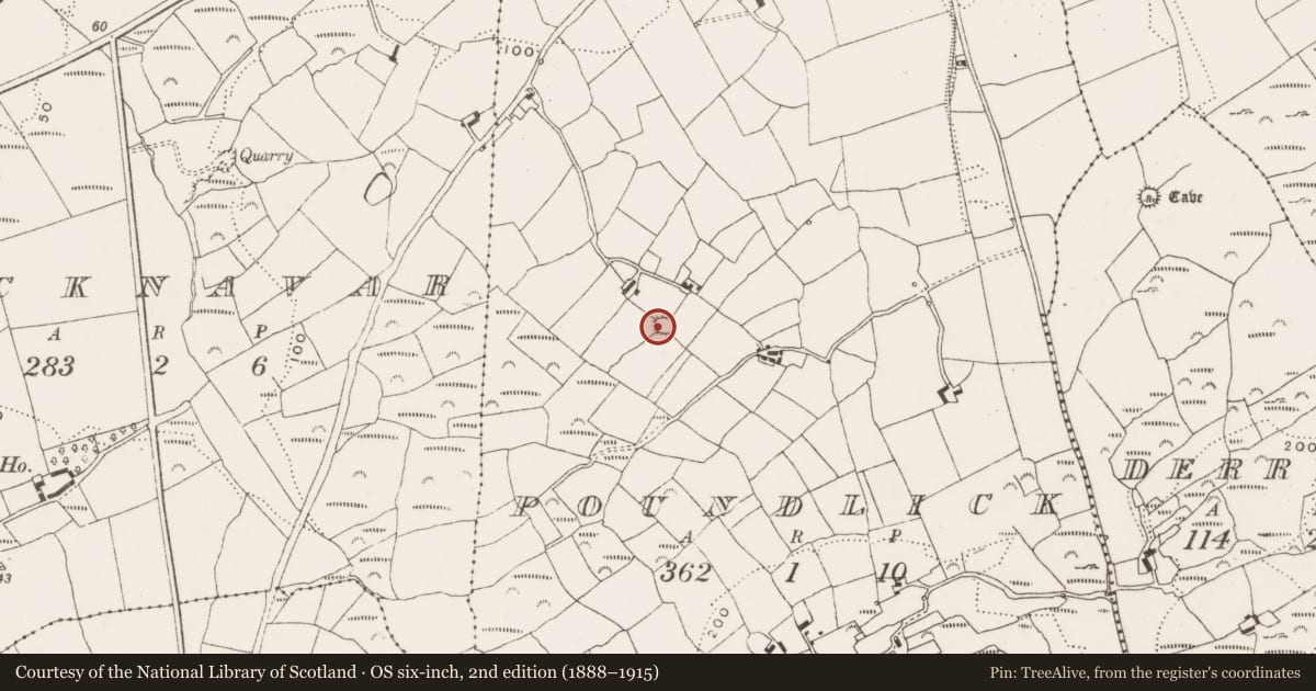 Ordnance Survey six-inch map, 2nd edition (1888–1915) covering the location of Souterrain, Poundlick, County Cork, with a pin at the register's coordinates