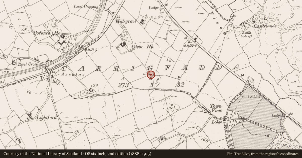 Ordnance Survey six-inch map, 2nd edition (1888–1915) covering the location of Ringfort - rath, Carrigfadda, County Cork, with a pin at the register's coordinates