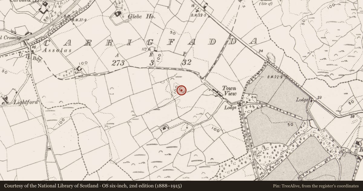 Ordnance Survey six-inch map, 2nd edition (1888–1915) covering the location of Ringfort - rath, Carrigfadda, County Cork, with a pin at the register's coordinates