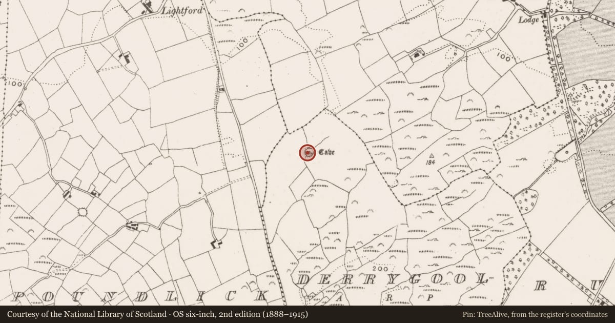 Ordnance Survey six-inch map, 2nd edition (1888–1915) covering the location of Souterrain, Derrygool, County Cork, with a pin at the register's coordinates