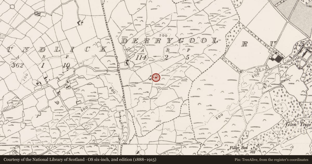 Ordnance Survey six-inch map, 2nd edition (1888–1915) covering the location of Ringfort - rath, Derrygool, County Cork, with a pin at the register's coordinates
