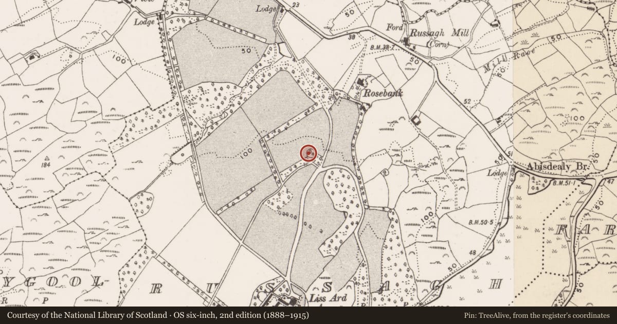 Ordnance Survey six-inch map, 2nd edition (1888–1915) covering the location of Ringfort - rath, Russagh, County Cork, with a pin at the register's coordinates