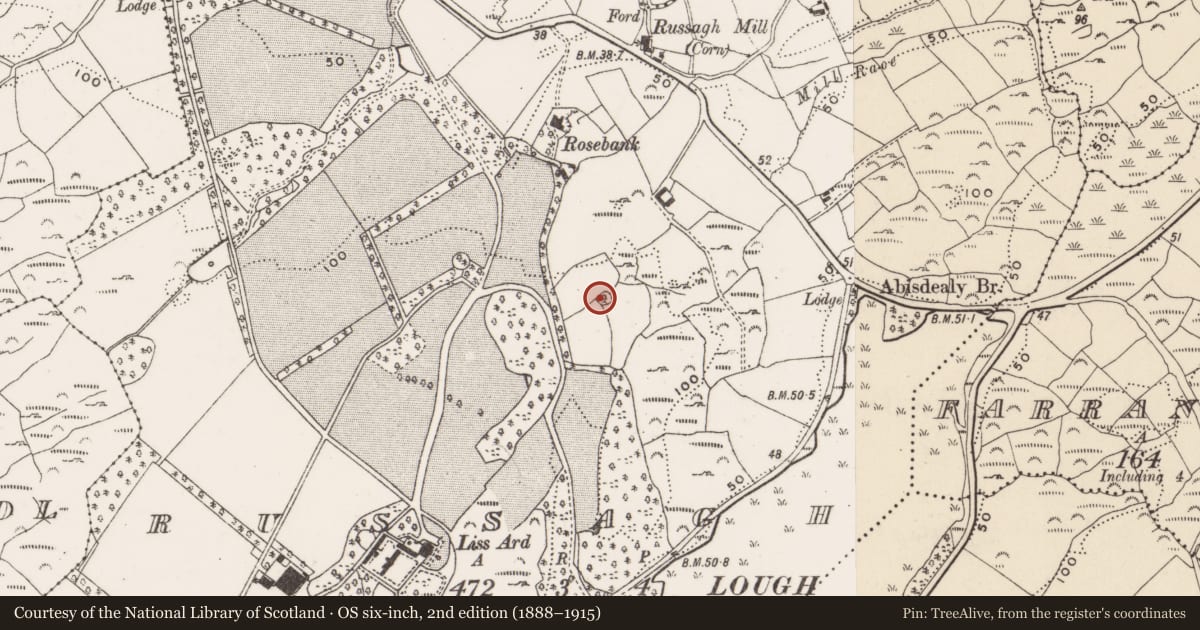 Ordnance Survey six-inch map, 2nd edition (1888–1915) covering the location of Ringfort - rath, Russagh, County Cork, with a pin at the register's coordinates
